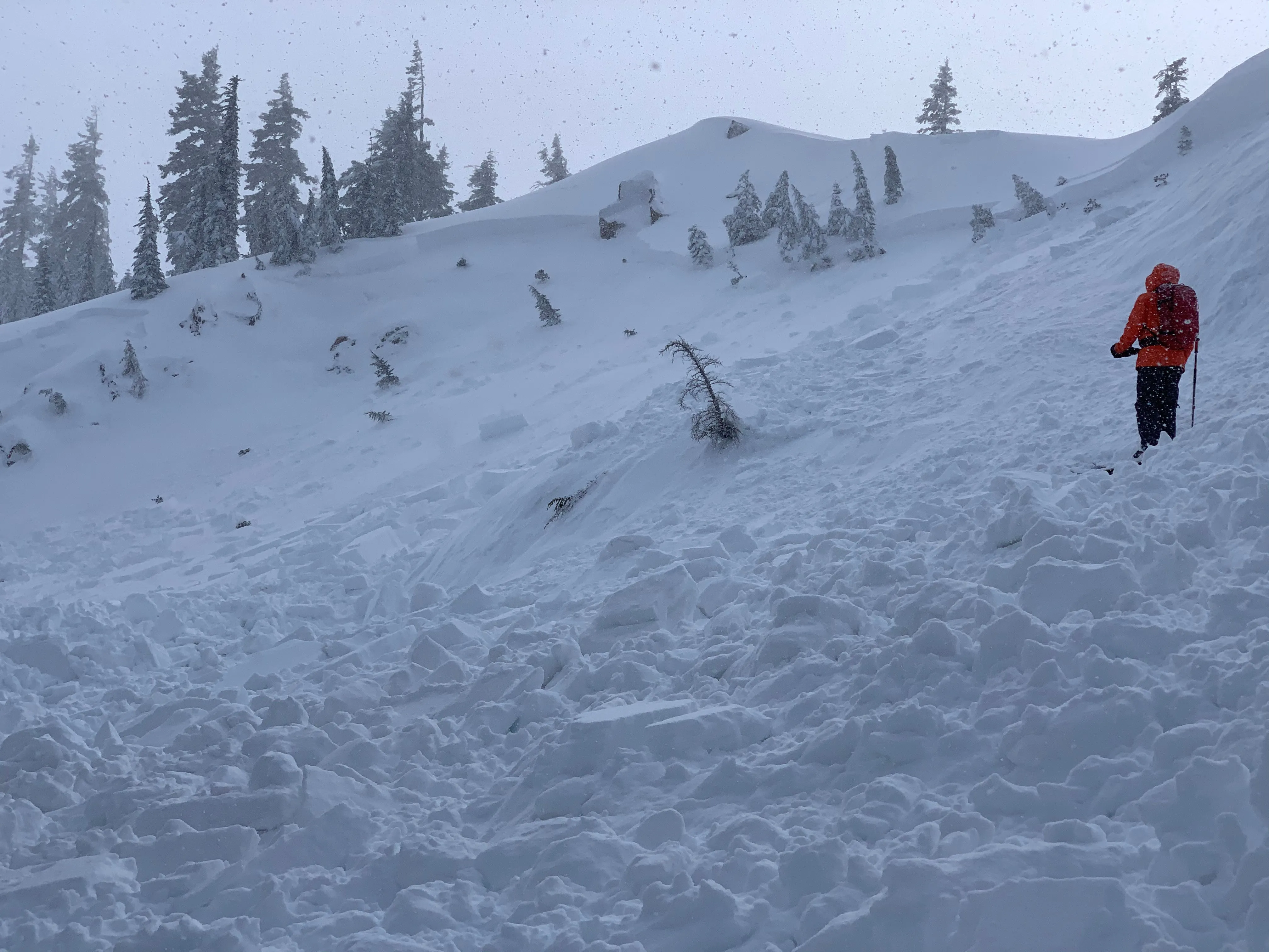 AIARE 1 Avalanche Course in Washington