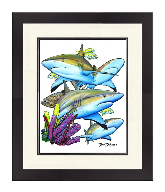 Caribbean Reef Sharks Original