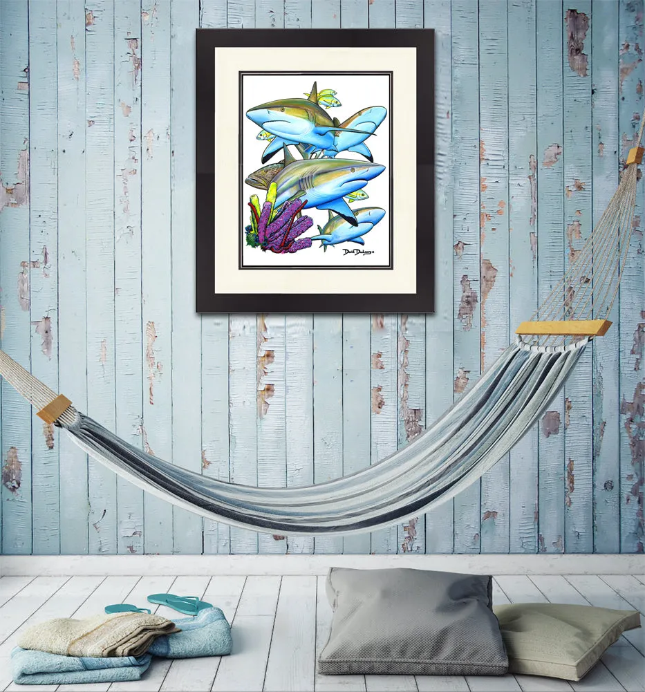 Caribbean Reef Sharks Original