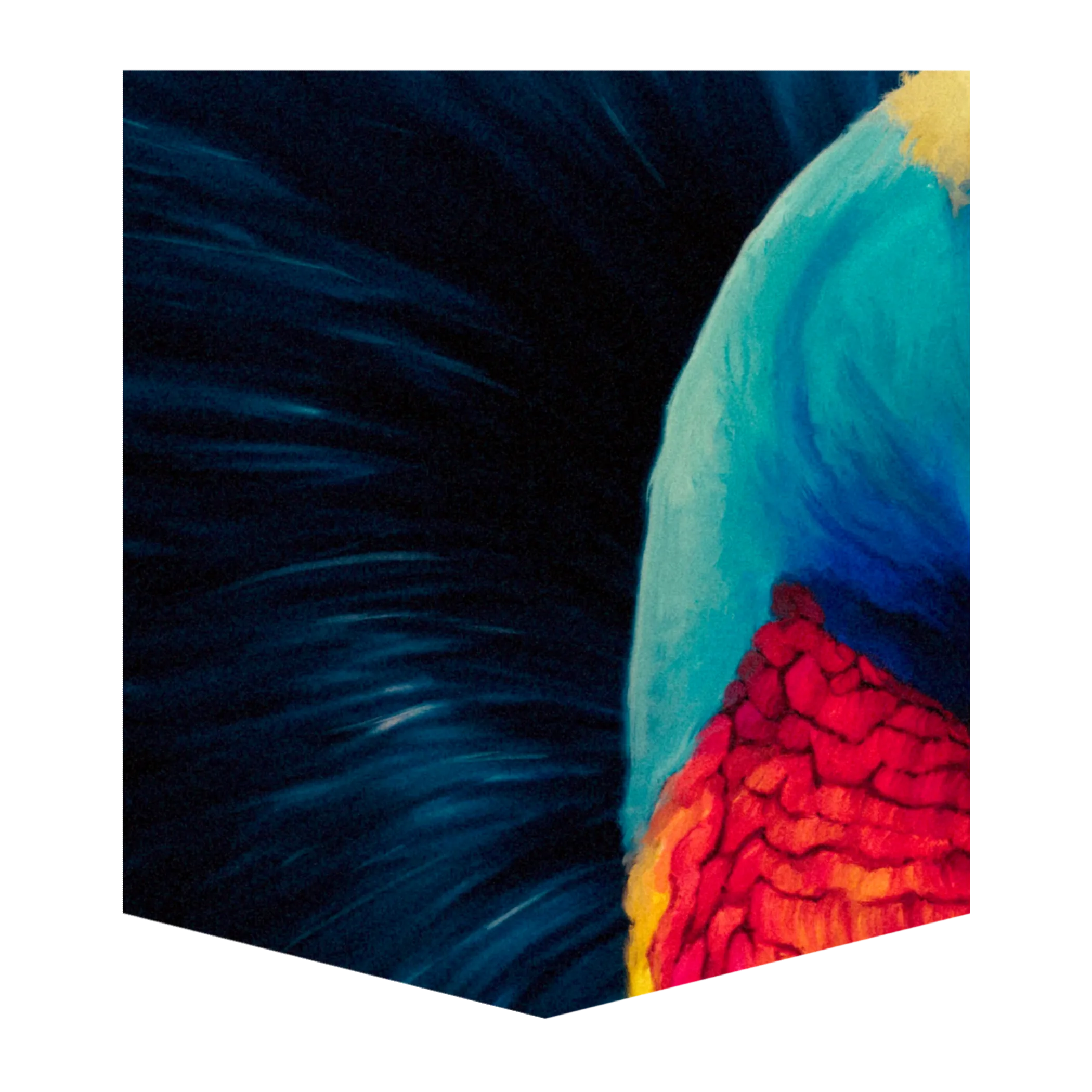 Cassowary Kid's Pocket Tee