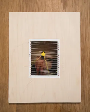 Fanny Gentle, "Study 2"