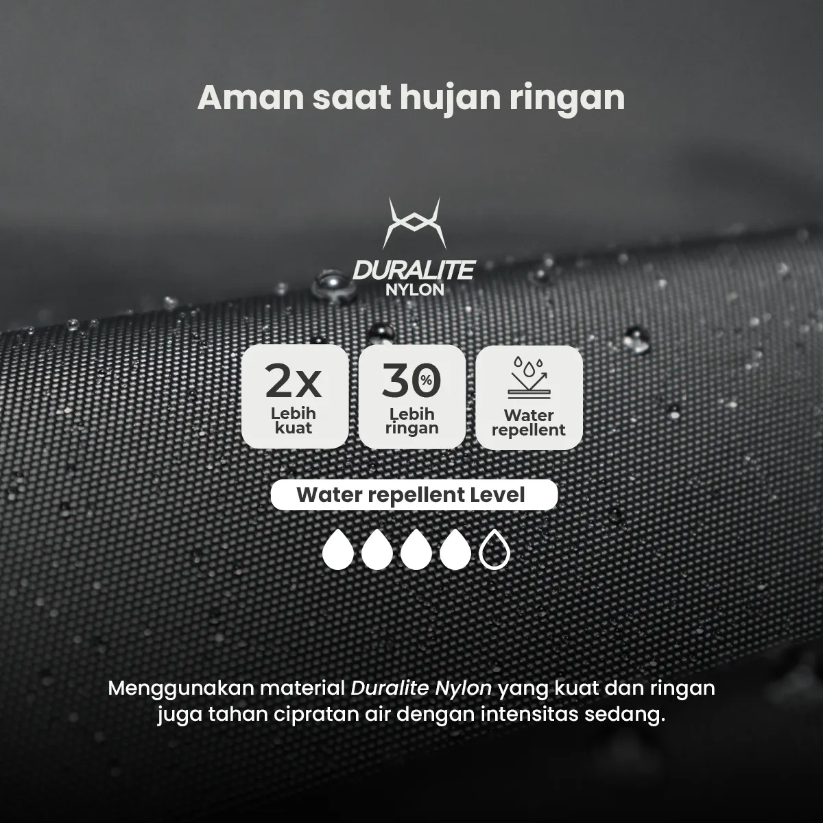 Gaesa Wallet