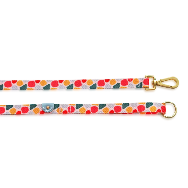 Gentle Pup - Candy Callie Leash