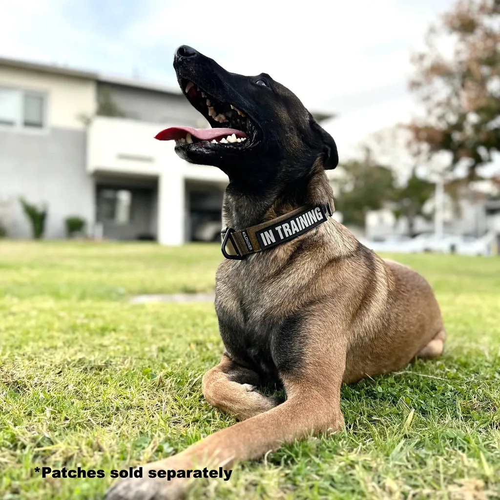 K9R - BCH Big Dog Collar Heavy Duty