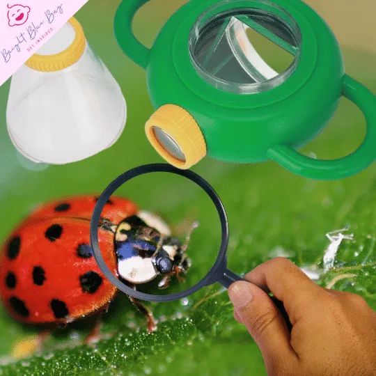 KiddoDiscover Bug Explorer Kit