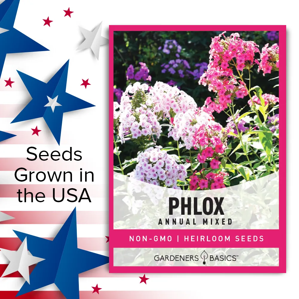 Mixed Phlox Seeds