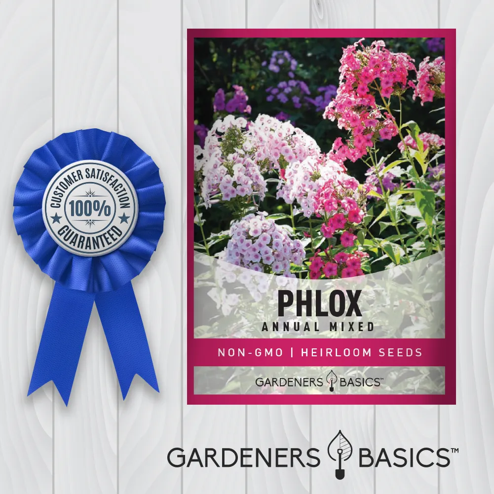 Mixed Phlox Seeds