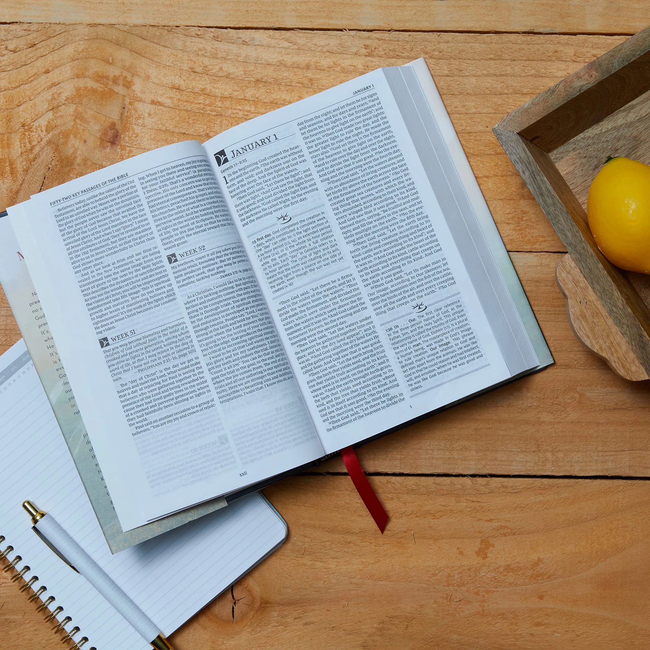 NKJV Macarthur Daily Bible