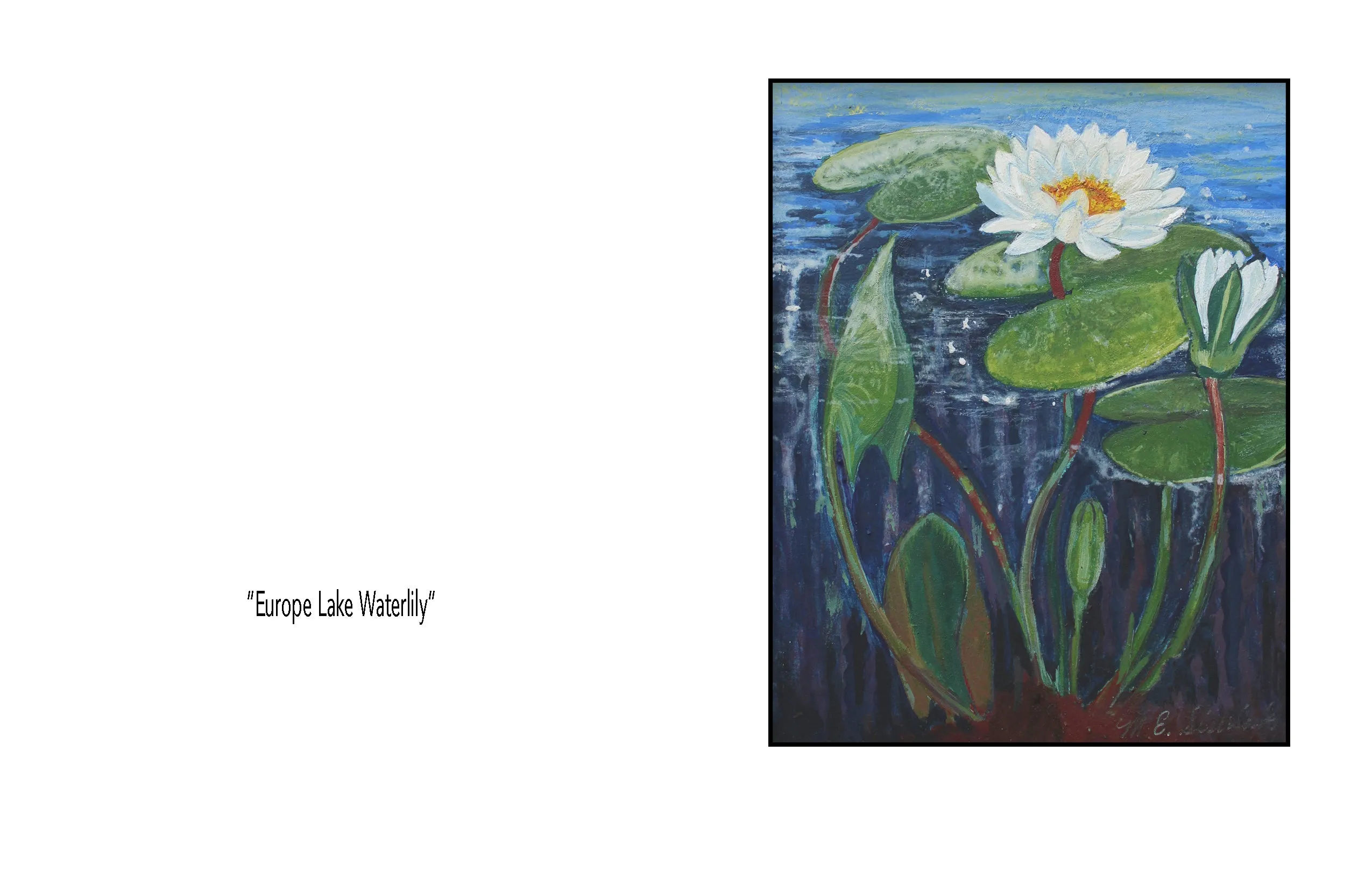 Notecards "Flowers and Berries"