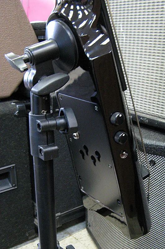 NS Design WAV Electric Upright Bass