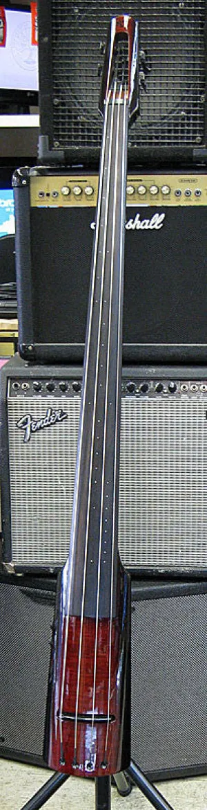 NS Design WAV Electric Upright Bass