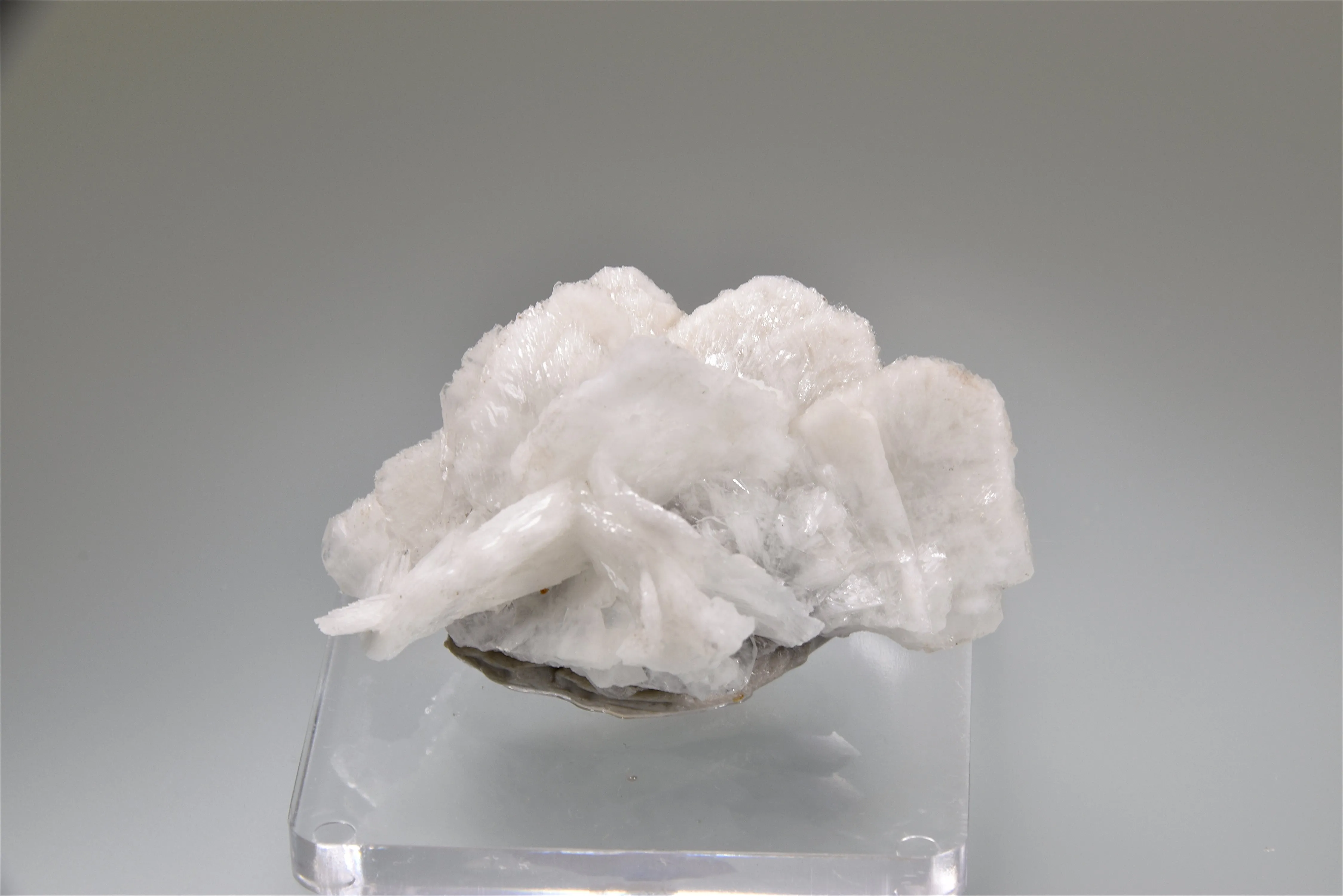 SOLD Barite on Fluorite, Sub-Rosiclare Level Annabel Lee Mine, Ozark-Mahoning Company, Harris Creek District, Southern Illinois, Mined 1987, Kalaskie Collection #466, Miniature 3.0 x 3.5 x 5.5 cm, $65.  Online 10/6.