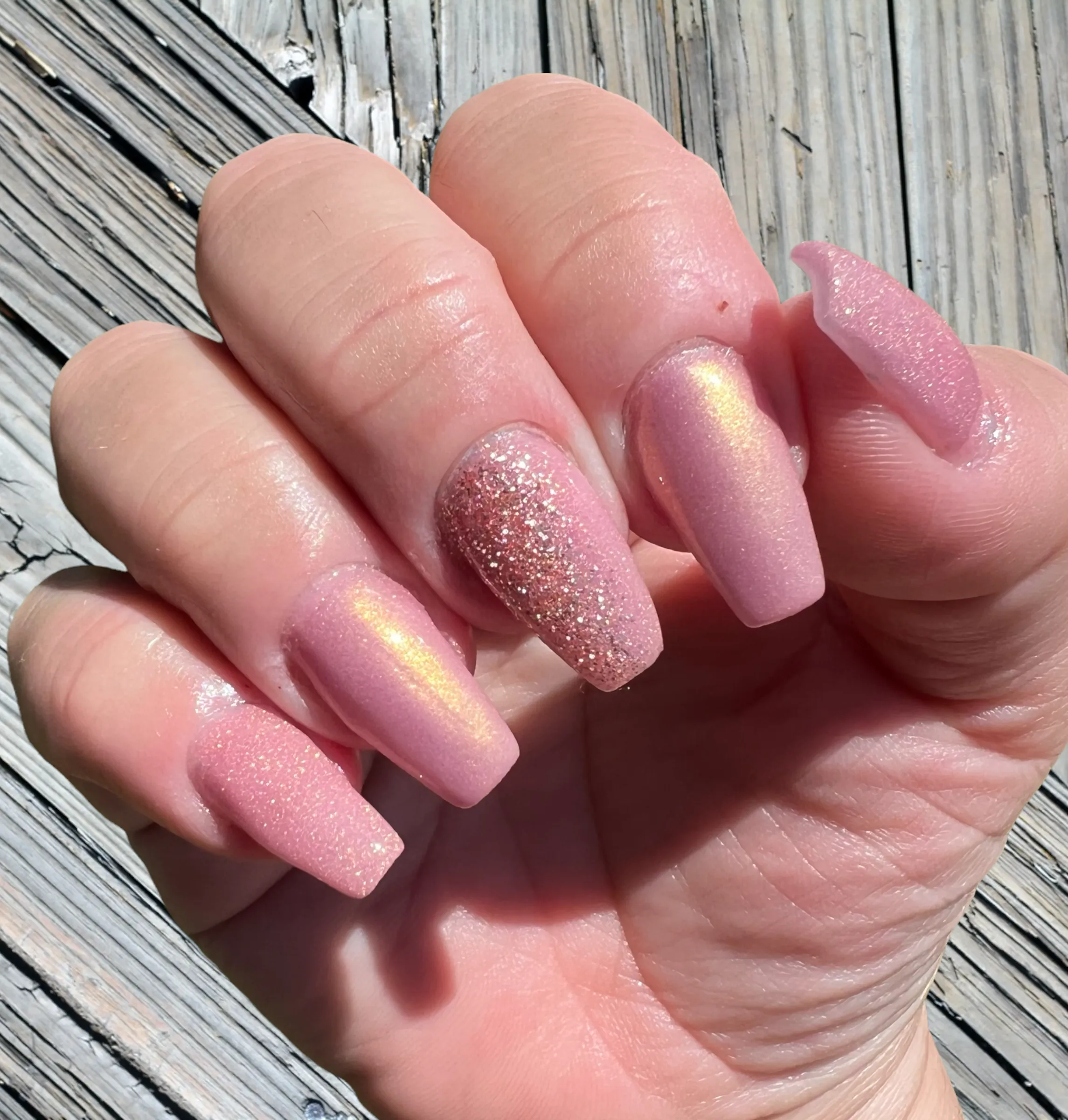 Summertime Rose