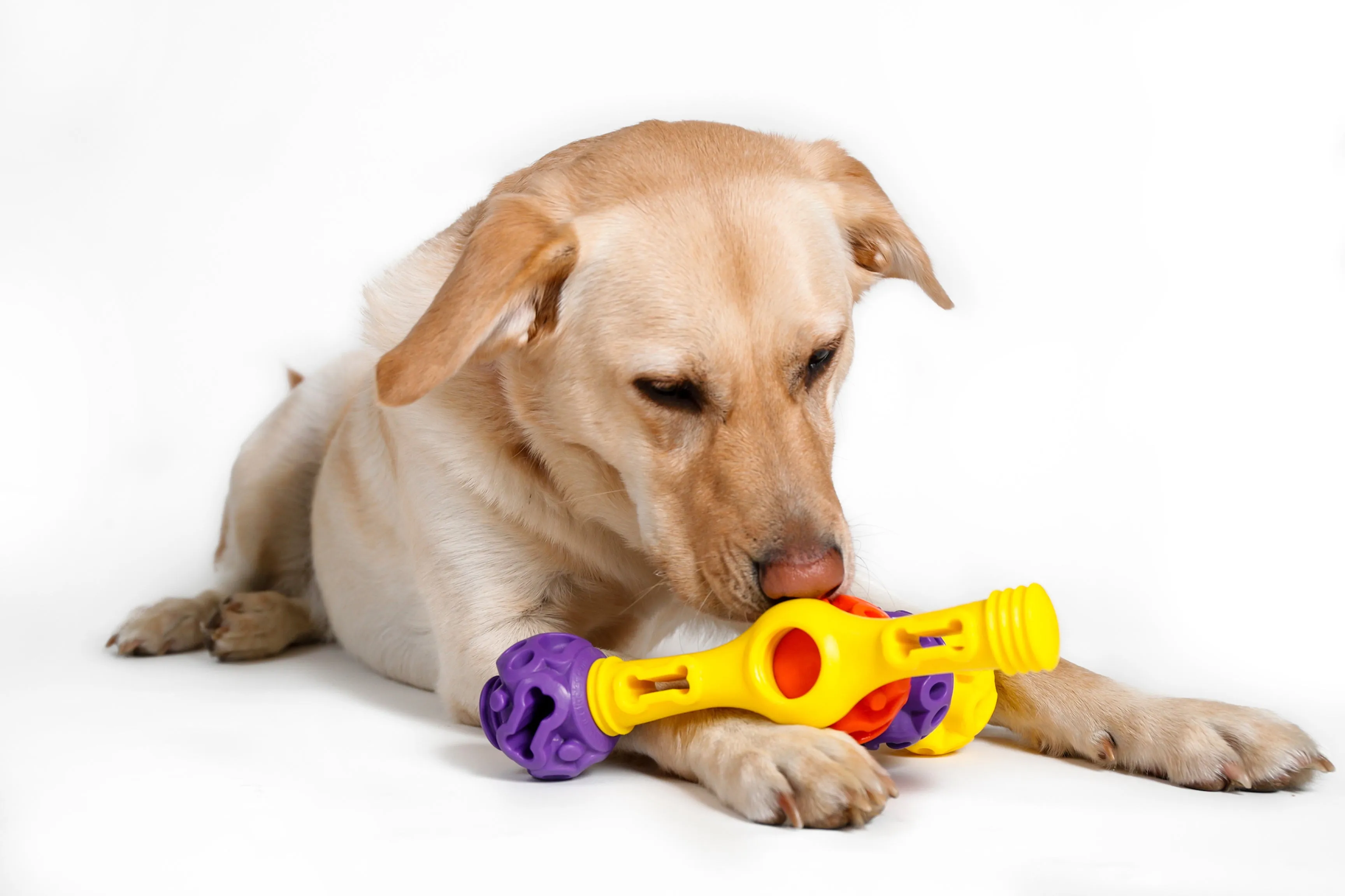 Tech Bone - Gentle Dog Toys