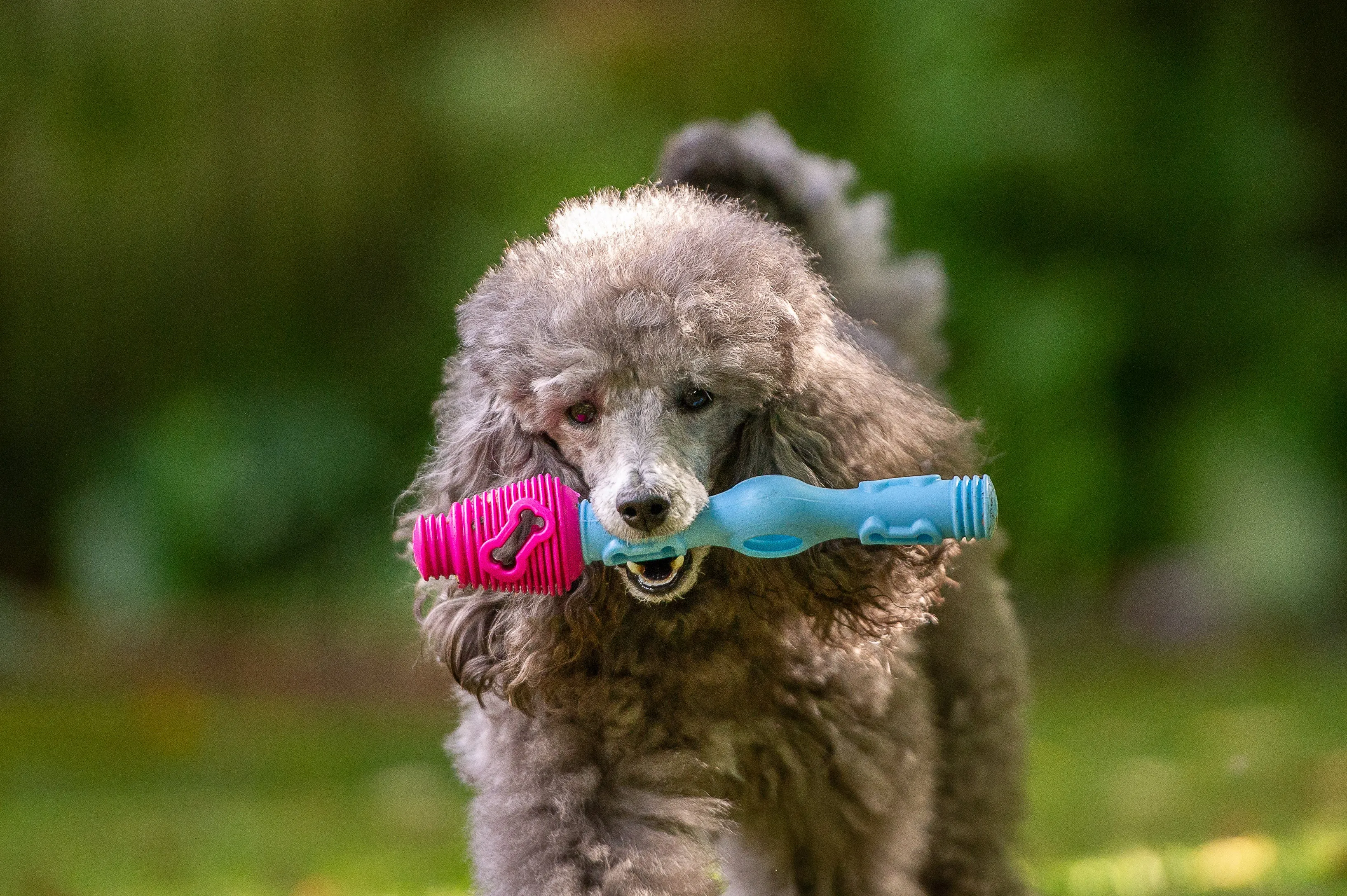 Tech Bone - Gentle Dog Toys