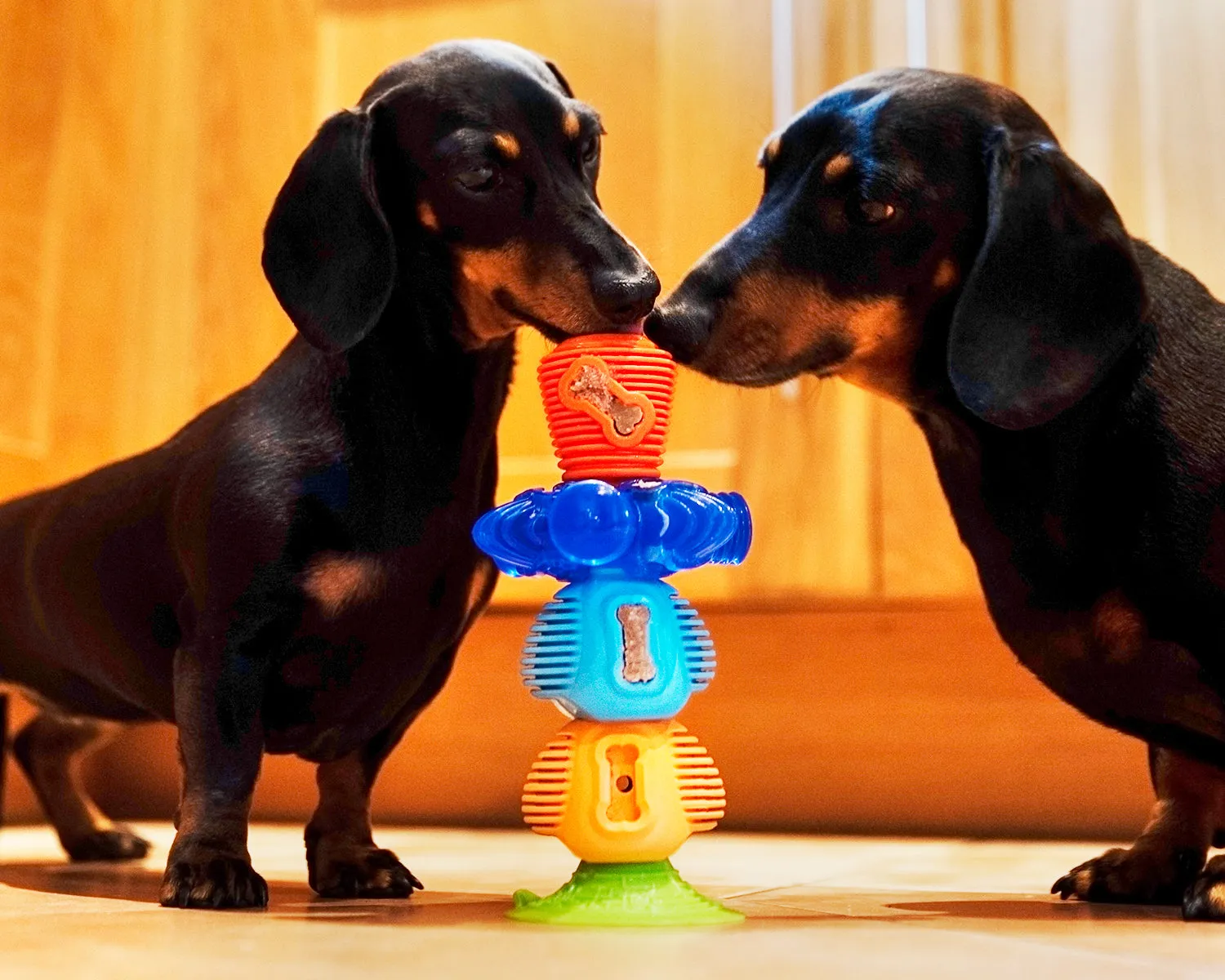 The Original - Gentle Dog Toys