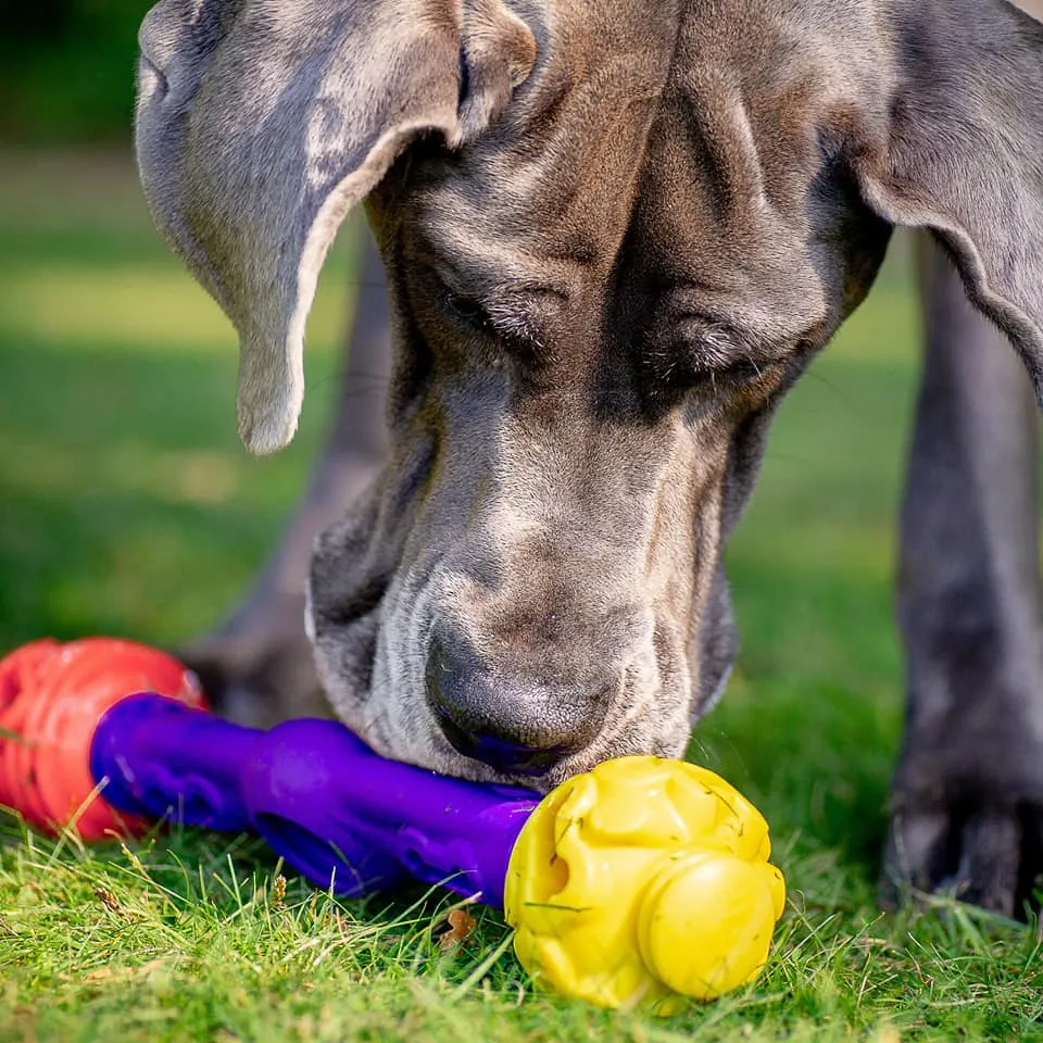 The Original - Gentle Dog Toys