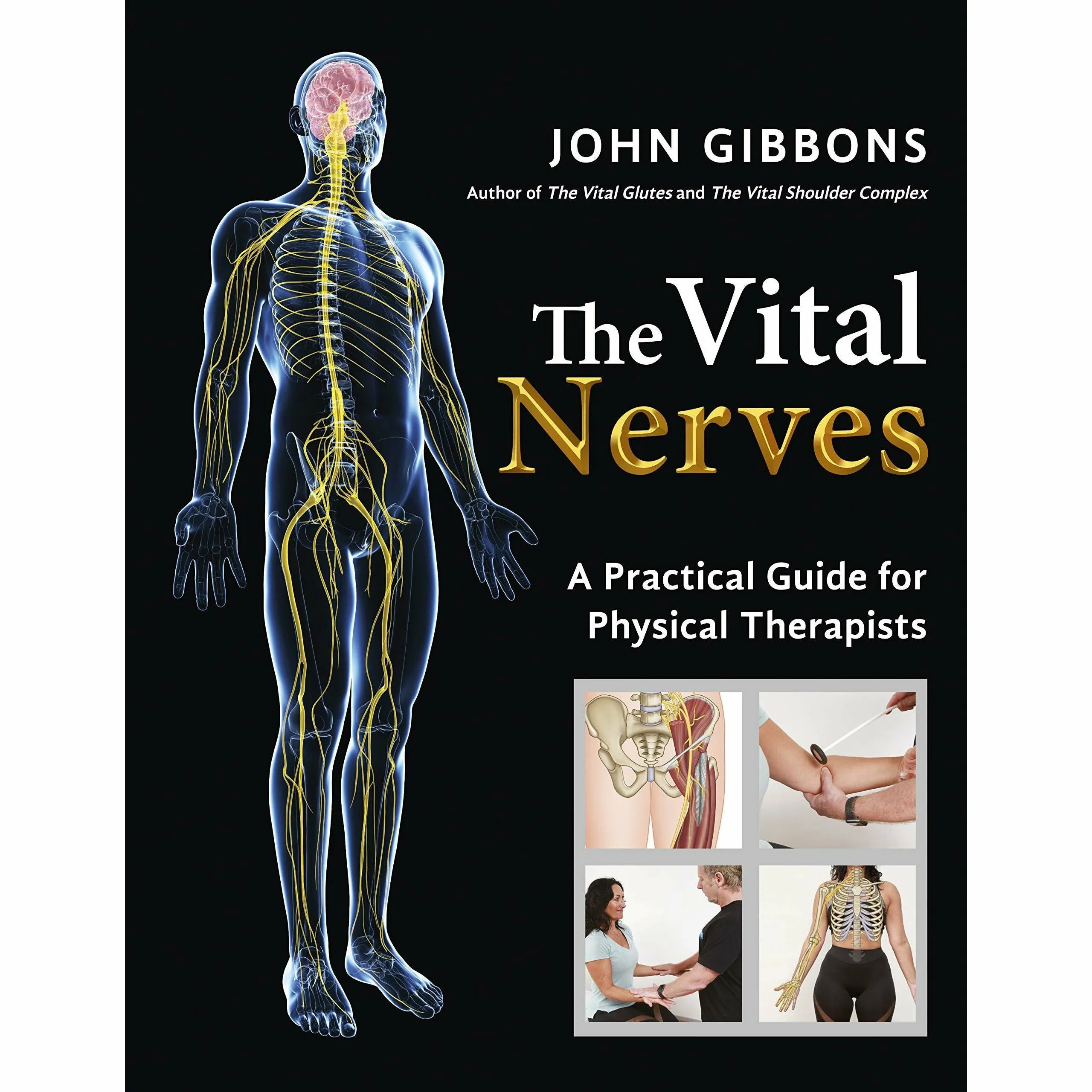 The Vital Nerves: A Practical Guide for Physical Therapists